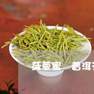 菠萝蜜 普洱茶怎么泡才好喝/2023052961807